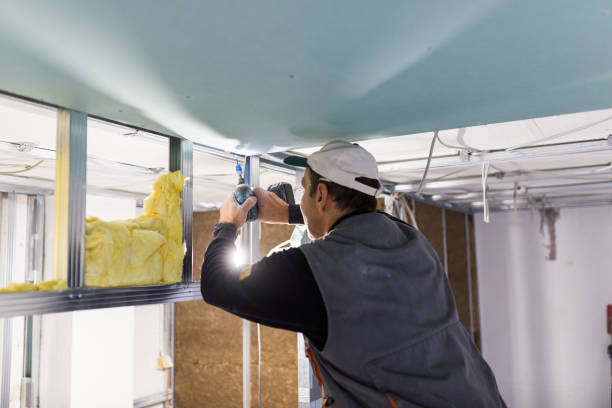 Best Residential Insulation in Holbrook, AZ