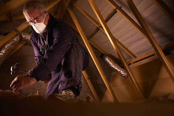 Best Insulation Materials and Products in Holbrook, AZ